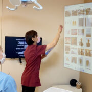 タブレットによるホログラムイメージ動画