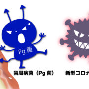 コロナと歯周病イメージ