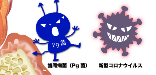 コロナと歯周病イメージ